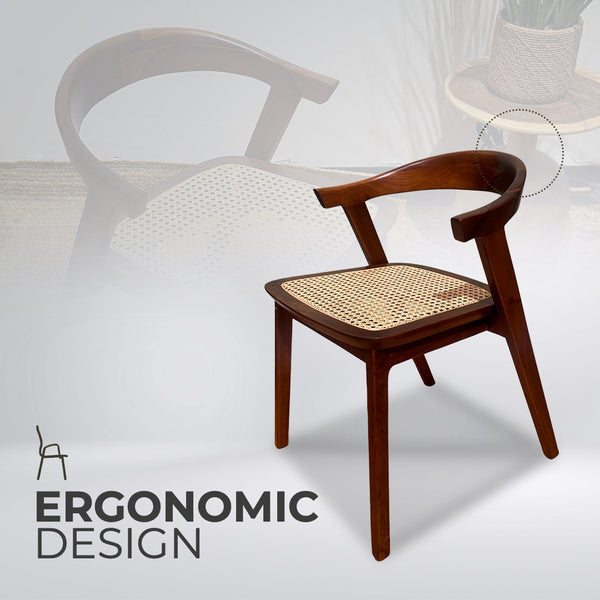 BATAVIA Comfortable Walnut Rattan Armchair - AVRS DESIGN