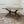 71 LIVE EDGE DINING TABLE - AVRS DESIGN