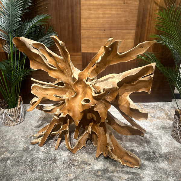 Sylvan Root Table - AVRS DESIGN