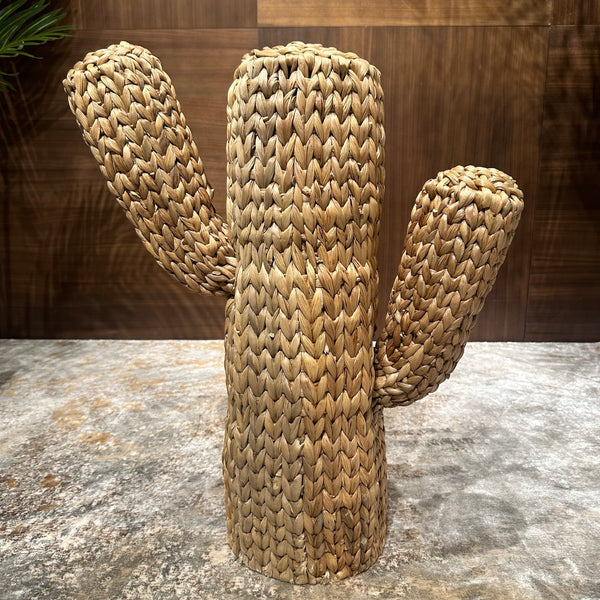 Saguaro - AVRS DESIGN