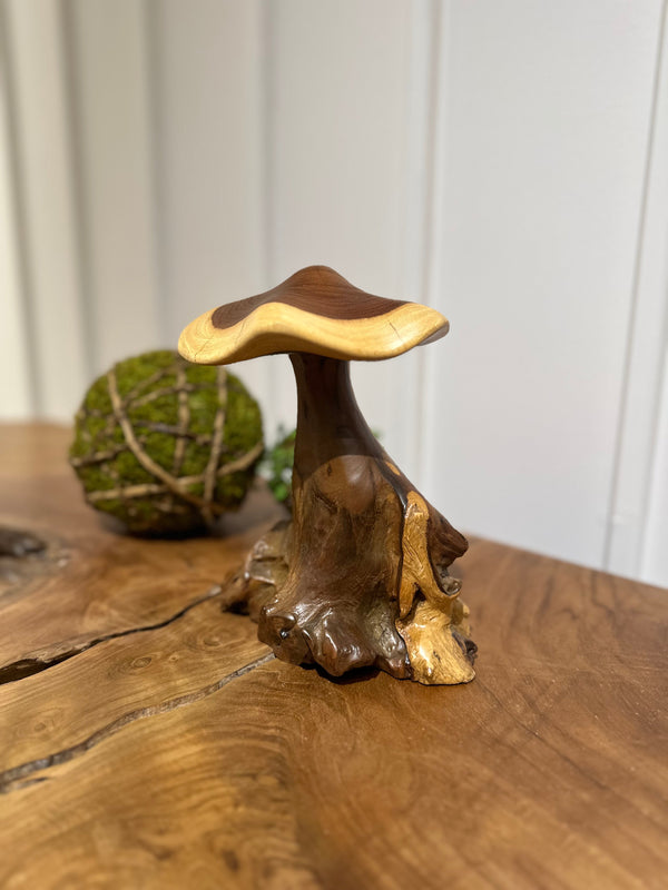 Truffle Mushroom - AVRS DESIGN