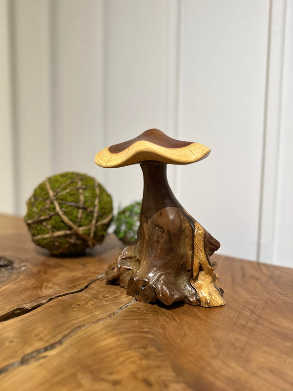 Truffle Mushroom - AVRS DESIGN