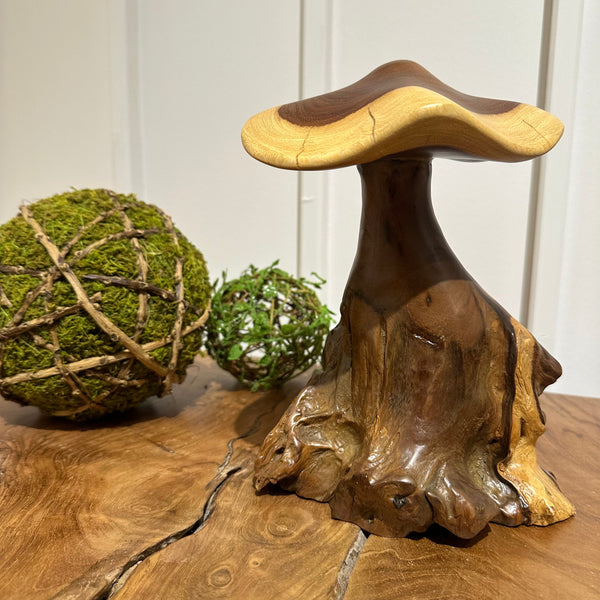 Truffle Mushroom - AVRS DESIGN