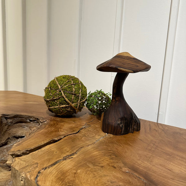 Truffle Mushroom - AVRS DESIGN