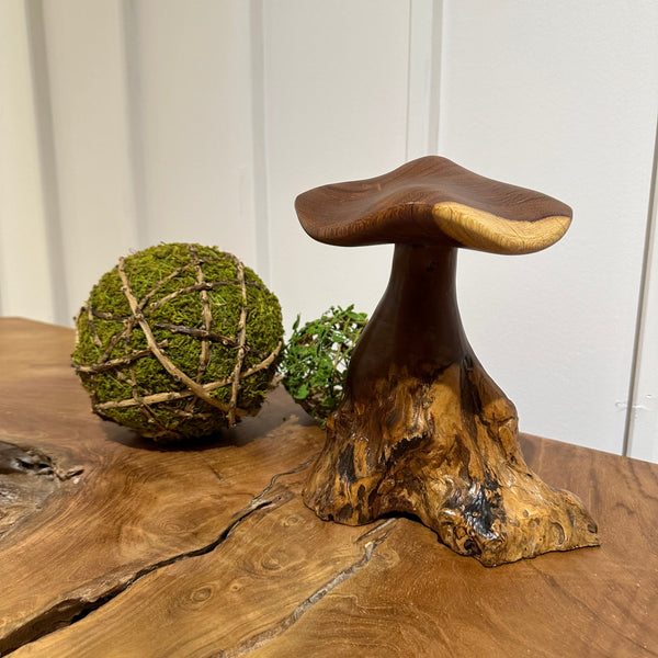 Truffle Mushroom - AVRS DESIGN