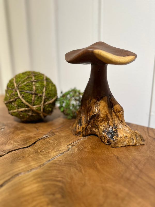 Truffle Mushroom - AVRS DESIGN