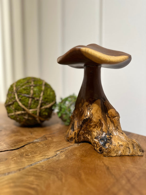 Truffle Mushroom - AVRS DESIGN