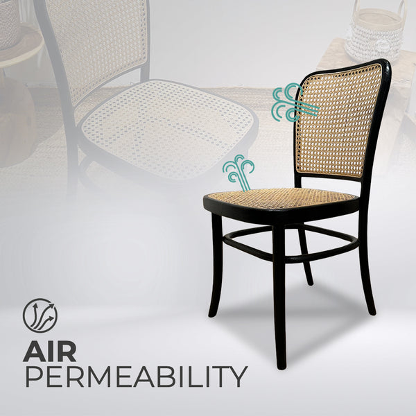 KEVINARMLESS Black Rattan Mid-Century Modern Dining Chair - AVRS DESIGN