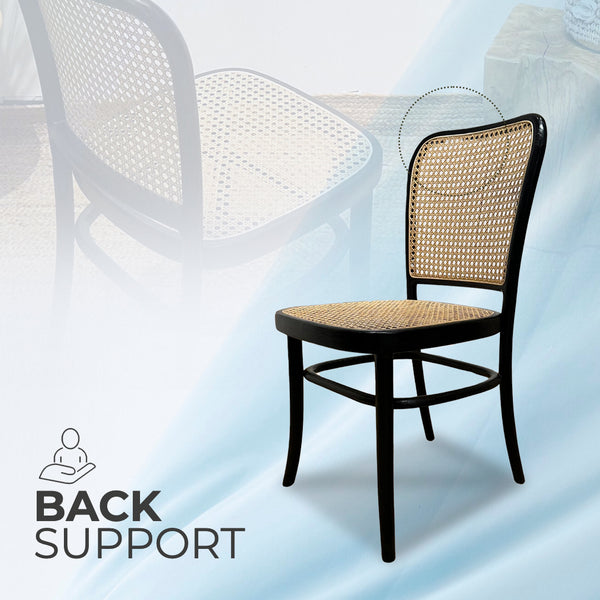 KEVINARMLESS Black Rattan Mid-Century Modern Dining Chair - AVRS DESIGN