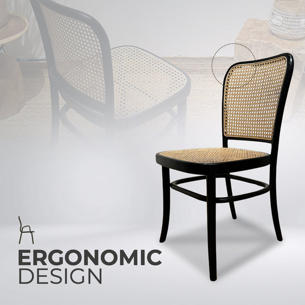 KEVINARMLESS Black Rattan Mid-Century Modern Dining Chair - AVRS DESIGN