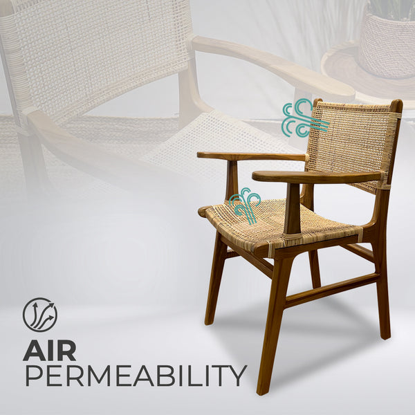 LAZY Walnut Rattan Armchair - AVRS DESIGN