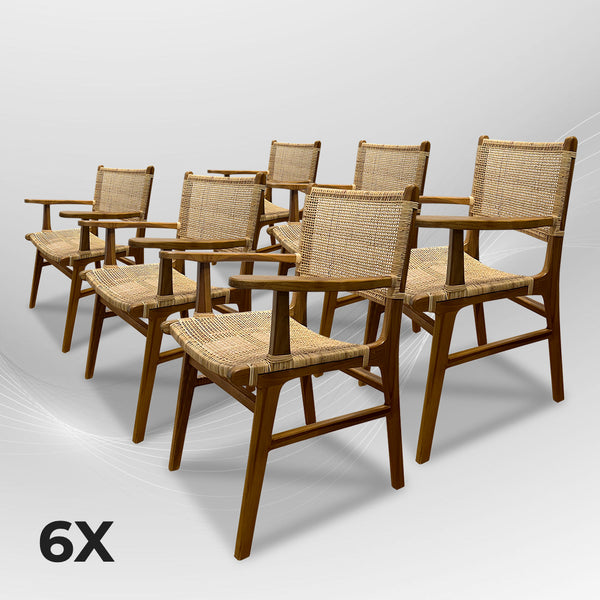 LAZY Walnut Rattan Armchair - AVRS DESIGN