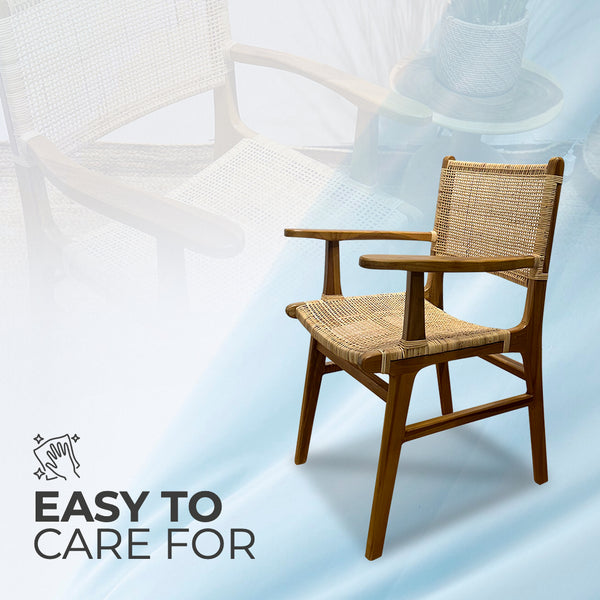 LAZY Walnut Rattan Armchair - AVRS DESIGN