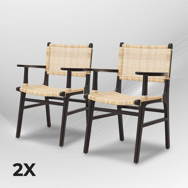 LAZY Walnut Rattan Armchair - AVRS DESIGN