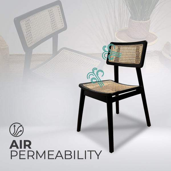 MOON Black Rattan Dining Chair - AVRS DESIGN