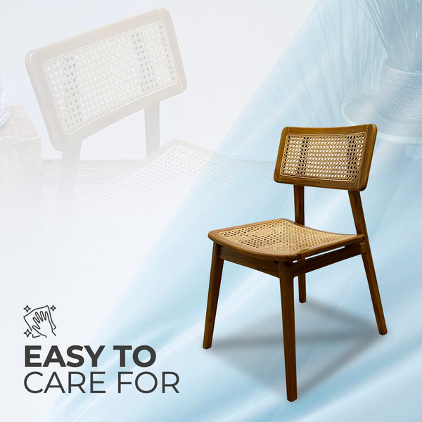 MOON Walnut Rattan Dining Chair - AVRS DESIGN