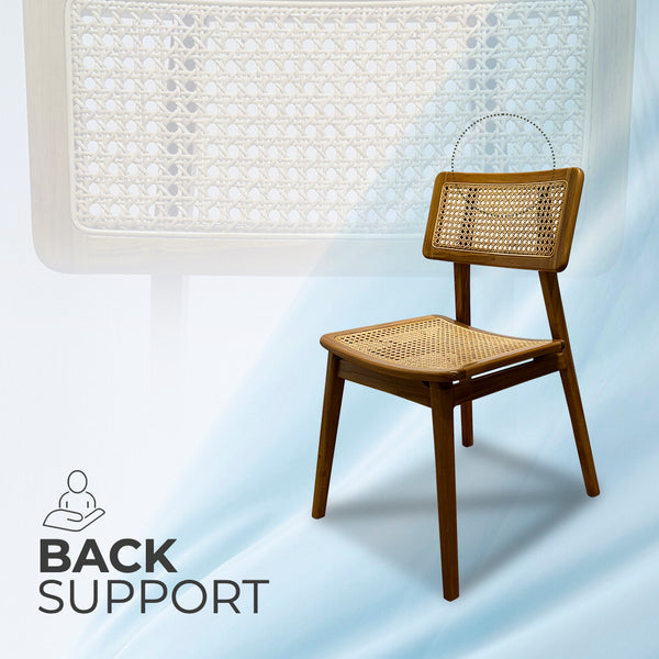 MOON Walnut Rattan Dining Chair - AVRS DESIGN