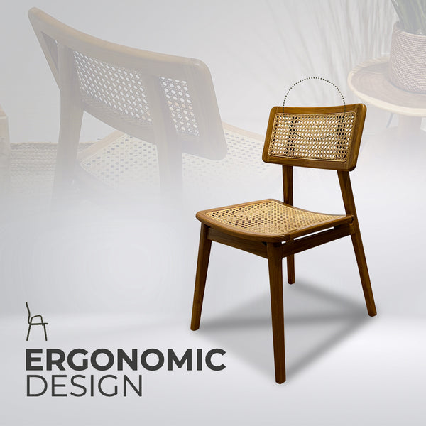 MOON Walnut Rattan Dining Chair - AVRS DESIGN