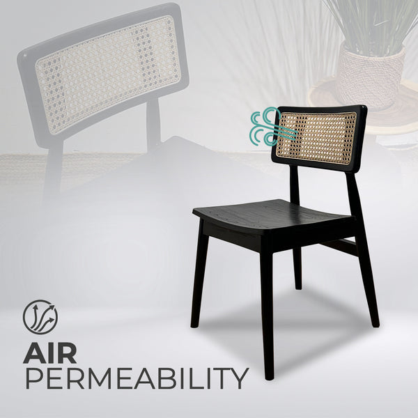 MOONBLOCK Black Rattan Dining Chair - AVRS DESIGN