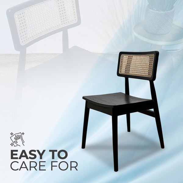 MOONBLOCK Black Rattan Dining Chair - AVRS DESIGN