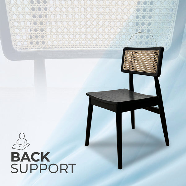 MOONBLOCK Black Rattan Dining Chair - AVRS DESIGN