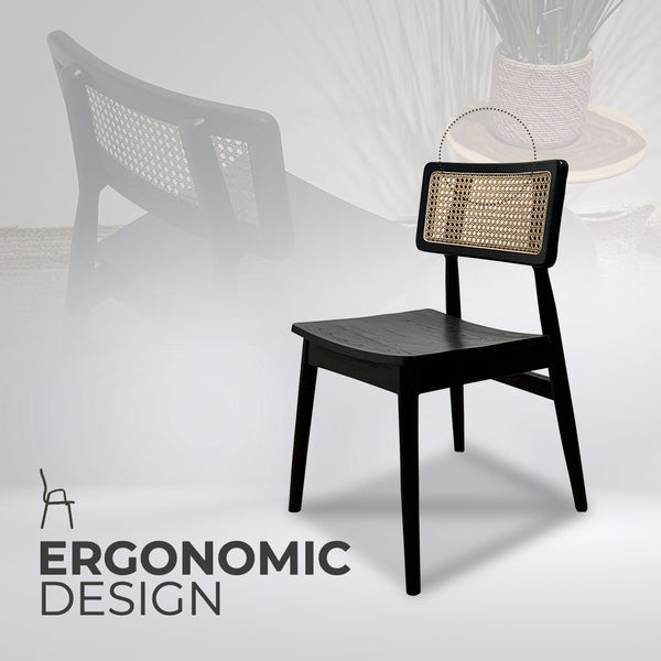 MOONBLOCK Black Rattan Dining Chair - AVRS DESIGN