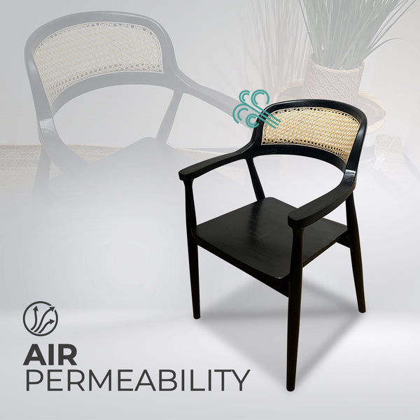 RETRO Black Rattan Armchair - AVRS DESIGN