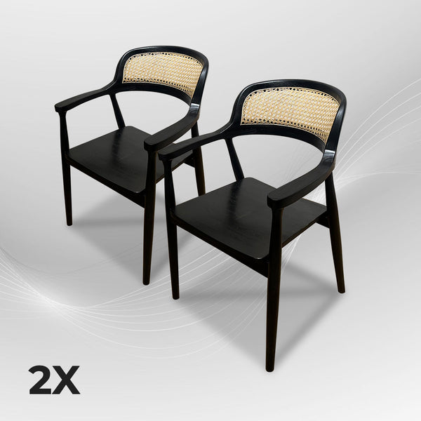 RETRO Black Rattan Armchair - AVRS DESIGN