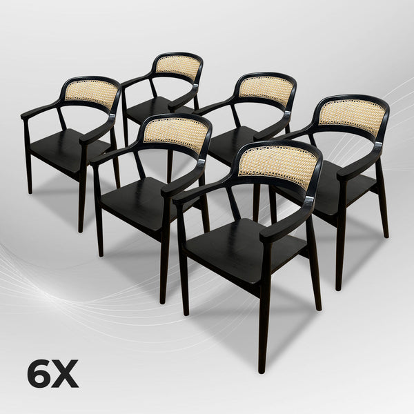 RETRO Black Rattan Armchair - AVRS DESIGN