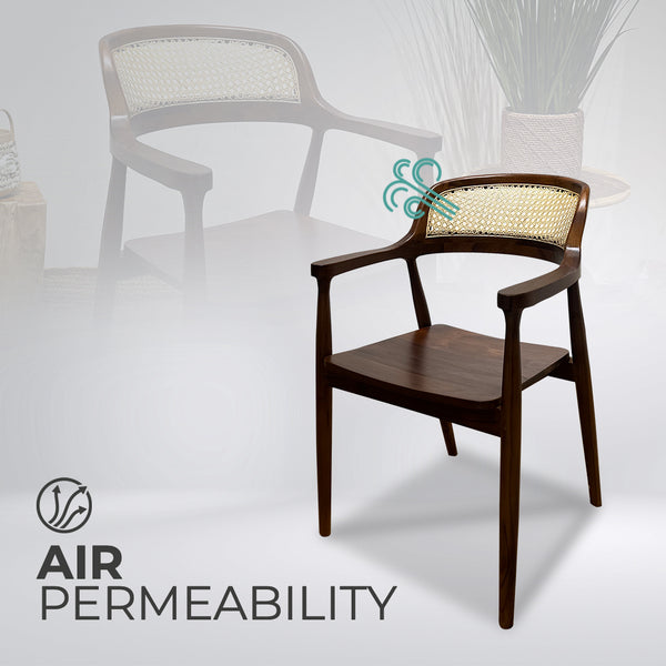 RETRO Walnut Rattan Armchair - AVRS DESIGN