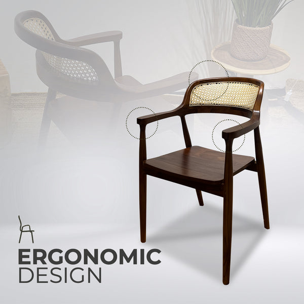 RETRO Walnut Rattan Armchair - AVRS DESIGN